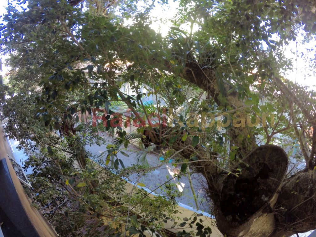 Apartamento Canasvieiras Florianopolis